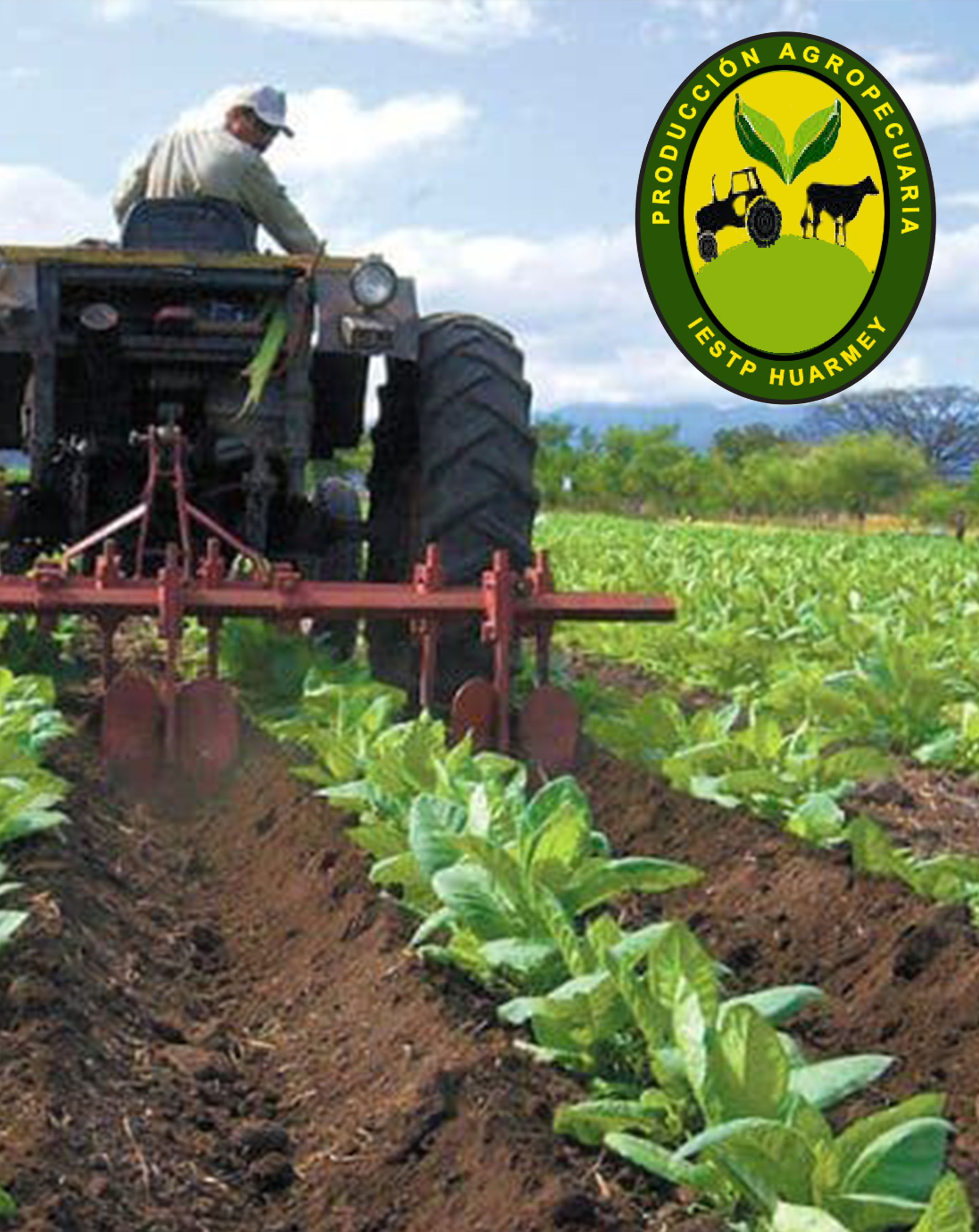 Producción Agropecuaria