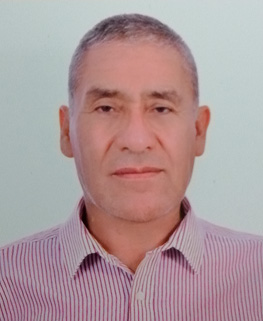 Ing. Romeo Mauricio Camarena Lino