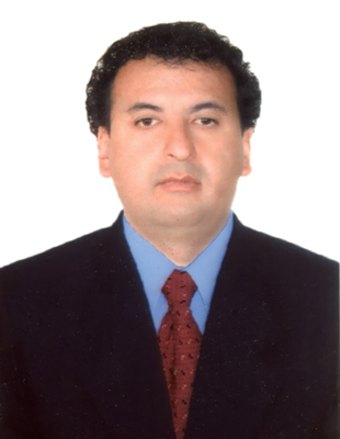 Ing. Romil Toro Vilchez