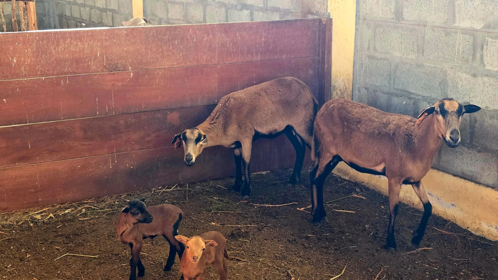 Foto 3 — Producción Agropecuaria